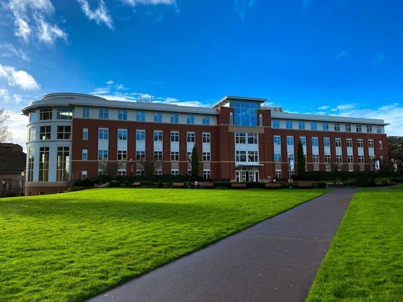 BINUS University